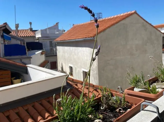 Apartment Lucy Piran-punta *